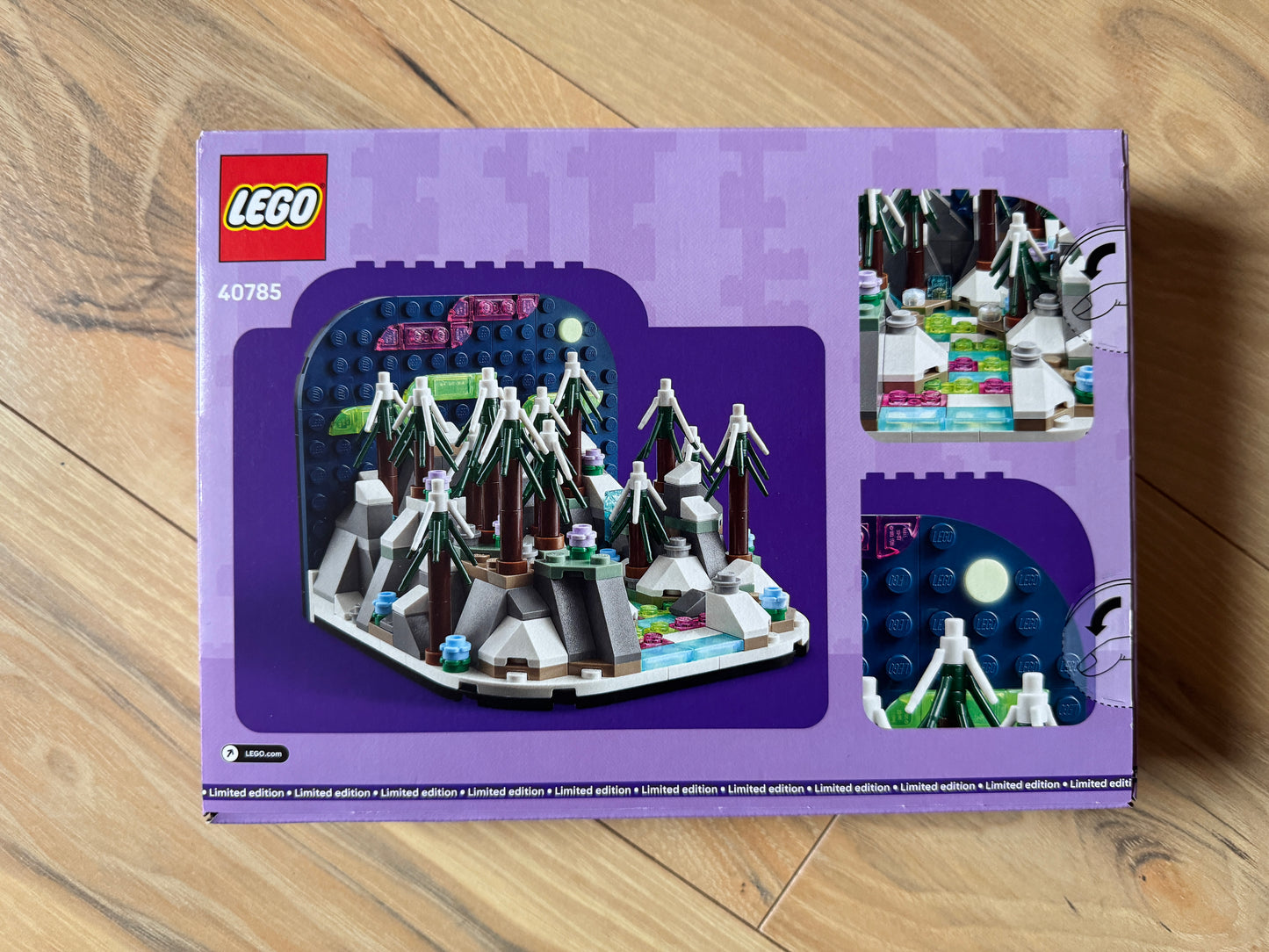 LEGO® 40785 Inne - Diorama z zorzą polarną
